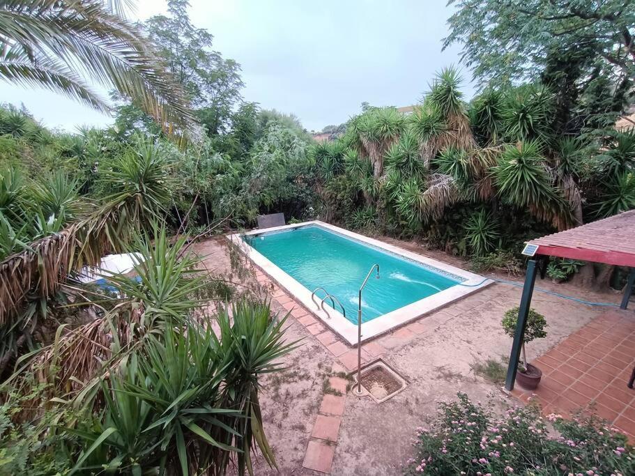 Casa Rural En El Campo Con Animales, Piscina Y Barbacoa Almodovar del Rio Luaran gambar