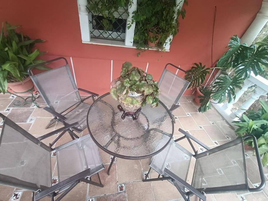 Casa Rural En El Campo Con Animales, Piscina Y Barbacoa Almodovar del Rio Luaran gambar