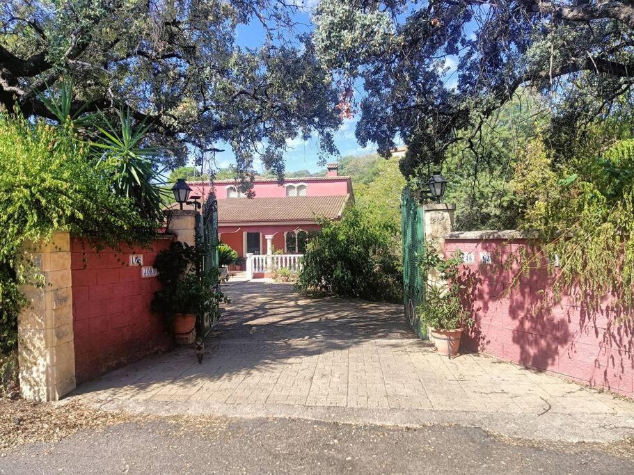 Casa Rural En El Campo Con Animales, Piscina Y Barbacoa Almodovar del Rio Luaran gambar