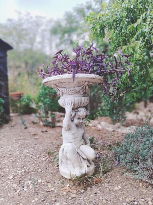Casa Rural En El Campo Con Animales, Piscina Y Barbacoa Almodovar del Rio Luaran gambar